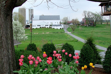 Farm in the distance